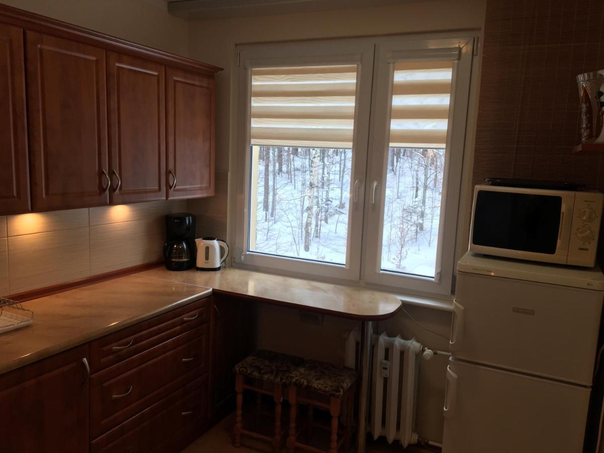 Apartament 6 Osobowy Szklarska Poręba Kültér fotó